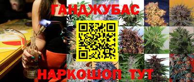 ешки Будённовск