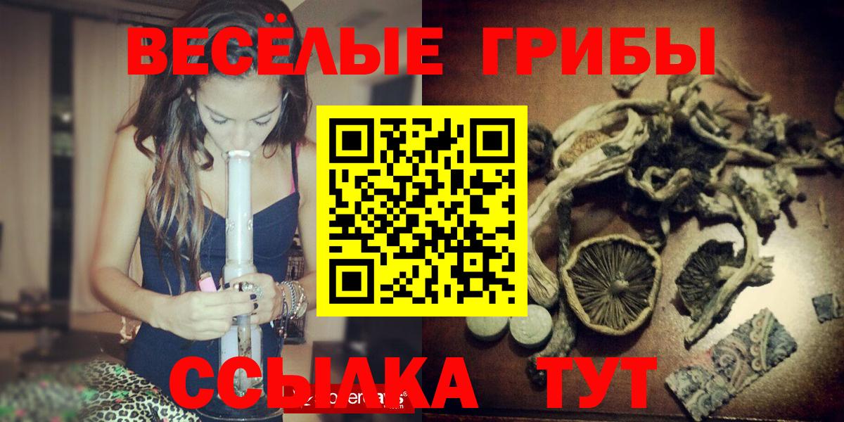 Южноуральск  продажа наркотиков  Вход с VPN  Галлюциногенные грибы Psilocybine cubensis 